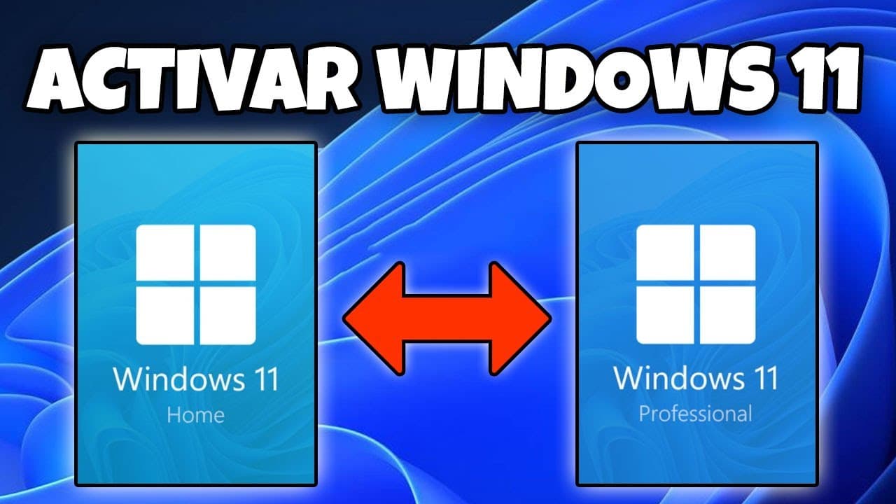 Licencia Windows